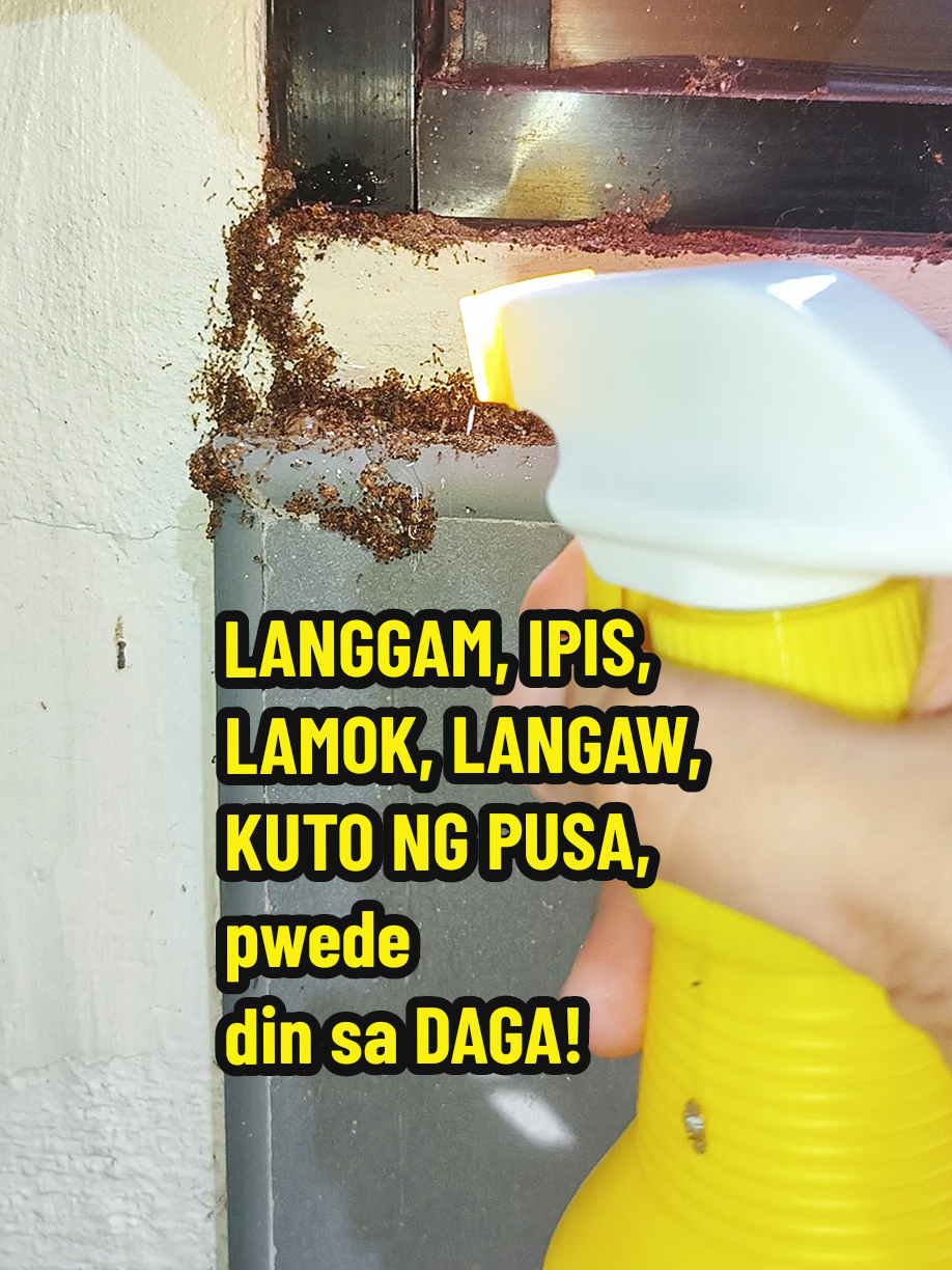 73 pesos lang to safe gamitin wala syang amoy!  #insectspray #insectkiller 