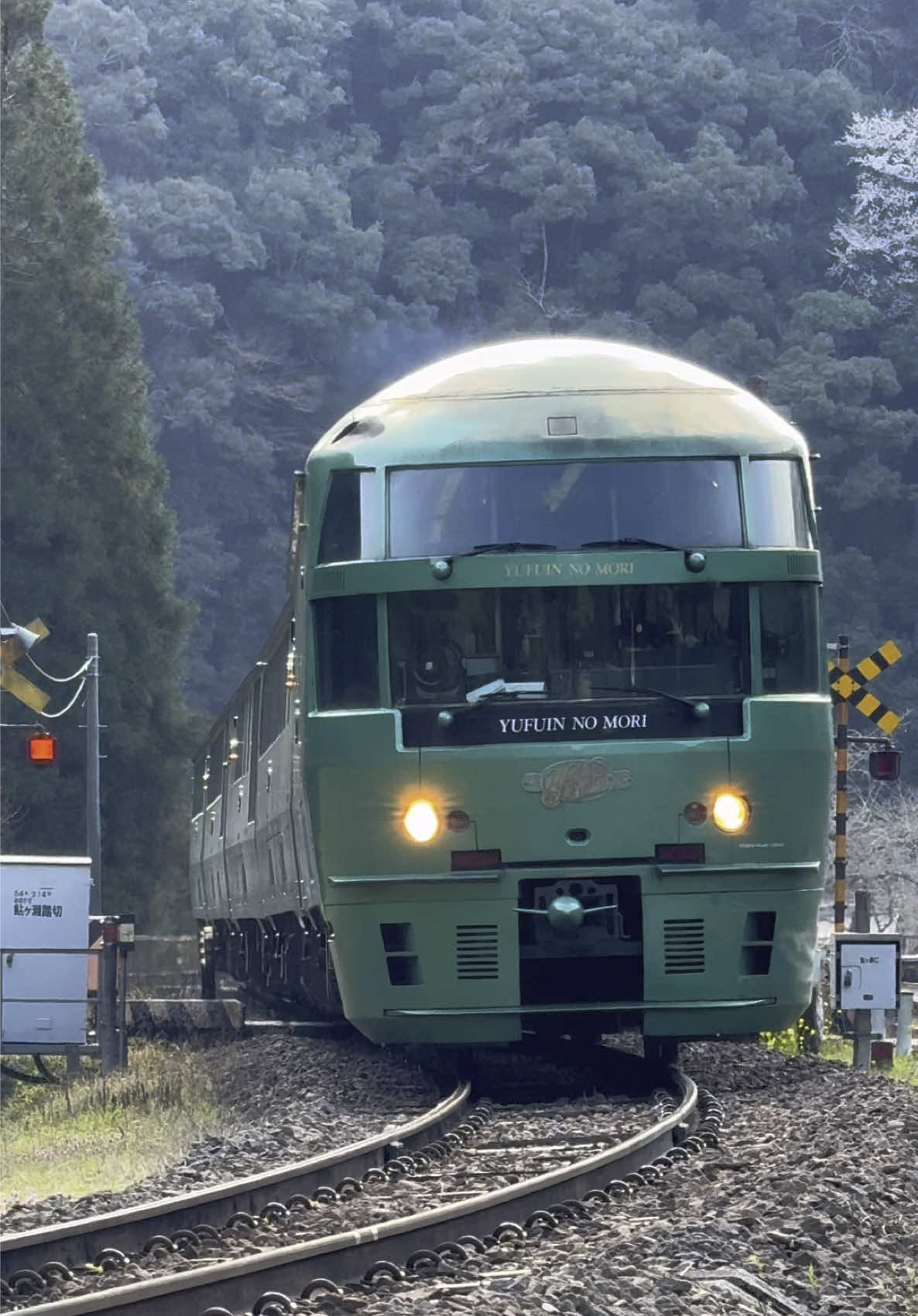 S字カーブを駆け抜ける、特急ゆふいんの森5号。久大本線 豊後三芳〜豊後中川にて。 #train #trains #railways #jrkyushu #yufuinnomori #oita #kyushu #japan #鉄道 #気動車 #特急 #ゆふいんの森 #久大本線 #大分 #日本 