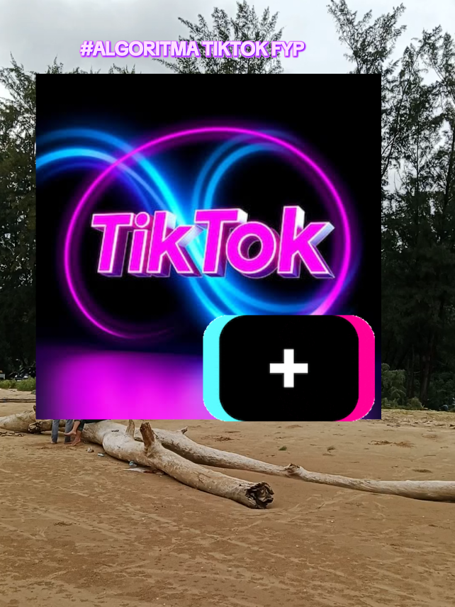 ALGORITMA TIKTOK FYP Saatnya menghasilkan uang dari tiktok #edukasi #flks #algorithm #pemula #fyp 