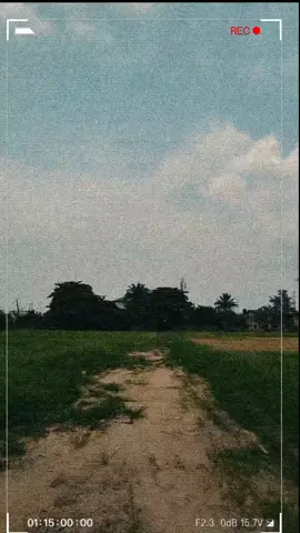 Doing ur house chores jos got better wit Vivo V50 5G... U can receive or handle ur device wit ur wet hands or  fingers without worry🥰🥰 @Eniola @Nigeria #vivoV50Nigeria #ZEISSPortraitSoPro #V50SnapLikeProNG #V50SnapLikeProSouthSouth