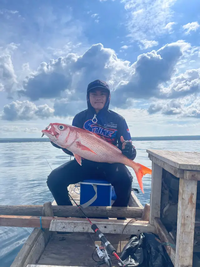 Set tackle : Rod : Rxn Gindara Type R pe 1 Reel : Penn Battle IV 4000dx Line : Rxn Jabrik Hs pe 2.5 Leader : Rxn Samar 40lb Lure : Harjig + Assist by @angler_pti #mancing #mancingmania #relixnusantara #lightjigging 