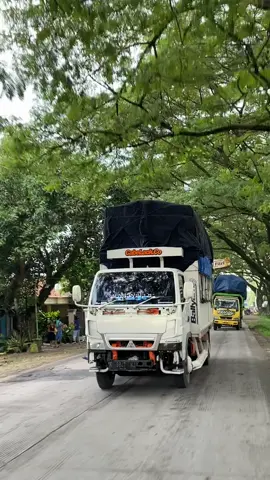 pesona herex tiktok🤩🤙🏻 @MasizzilProject #herextiktok #trukmaniaindonesia #trukstory #truklovers #trukoleng #conkirpan_ #drivermuda #fyp @Cabelaok.Co 