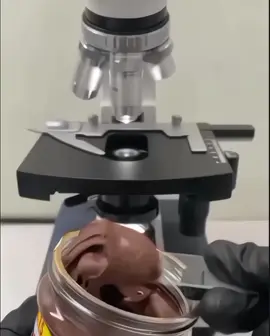 jadi ini para mikroorganisme di dalam coklat💖 #fyp #gfx #anime #akhirtakbahagia #daribanyaknyainsandidunia #coklat #mikroskop 