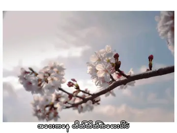 #JapanGyi📸 #myanmar #music #အဝေးကနေတိတ်တိတ်လေးပါပဲ🥺 #❣️🤍❣️ 