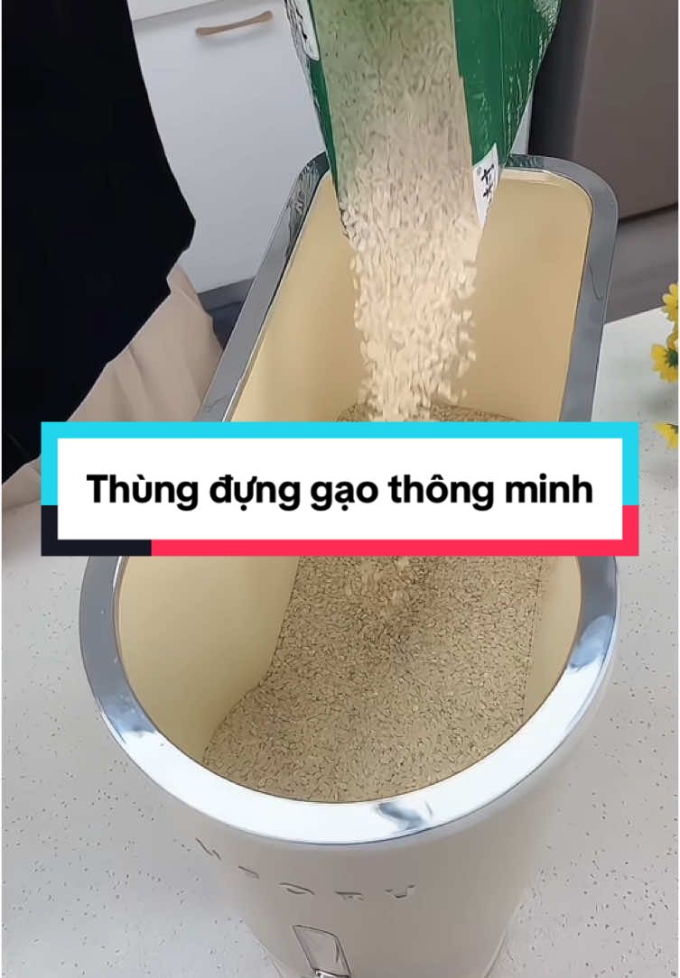 Thùng đựng gạo thông minh #giadungthongminh #giadungtienich #noitro #fyp #thungdunggao 
