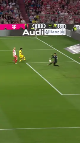 Karimo Crocodilo 🐊 #FCBBVB