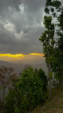Weather 💚🔥