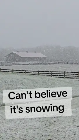 Foaling during a snow storm in April ?!?!?! Hopefully.  But really,  why is it snowing right now??? #fyp #foalingseason2025 #thoroughbredsoftiktok #tiktoklive #letsdothis #snowing