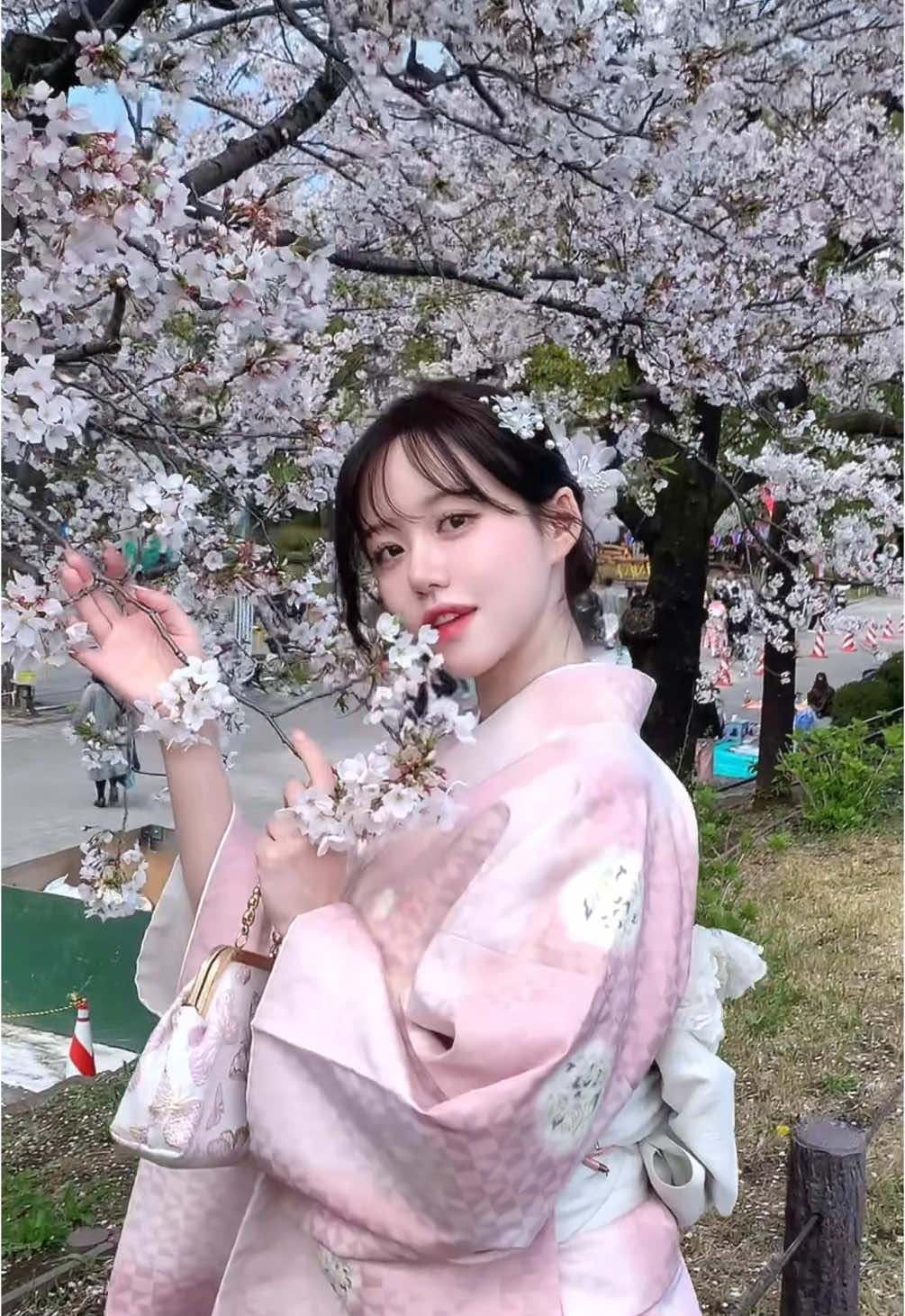 cherry blossoms🌸👘🇯🇵