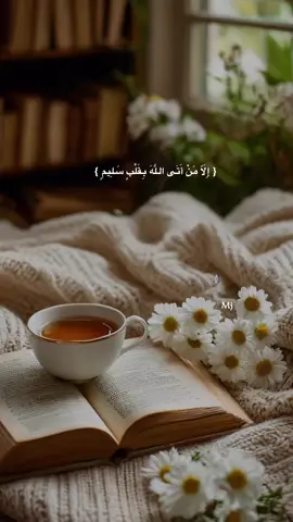 #إِلَّا مَنْ أَتَى اللَّهَ بِقَلْبٍ سَلِيمٍ #اقتباسات_خواطر_عبارات #ميما🇸🇦  #اكسبلورexplore 