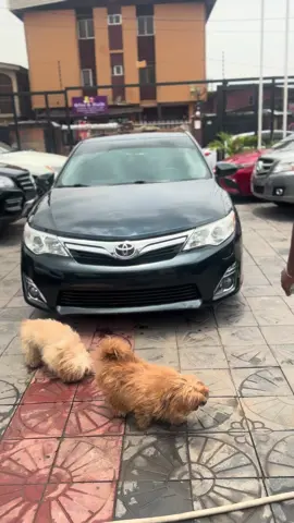 TOKS TOYOTA CAMRY XLE 2014 PURE FIRST BODY  Thumb start  Moon roof  Reverse camera navigation  Back ac vent  V6 engine  4uniform brand new tires  PRICE: 08032368985 LOCATION: unique Wahab autos