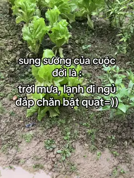 #ctxkxuhuong 