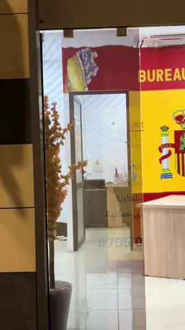 +213796972654 Installation encastrée fibre  #ftthinternet #algerietelecome #oran #fuyou 