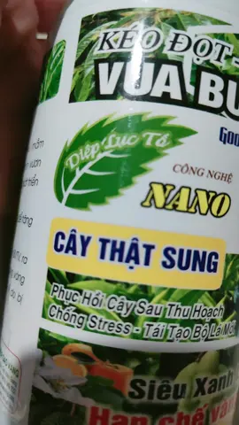 vua bung đọt phun là tốt 