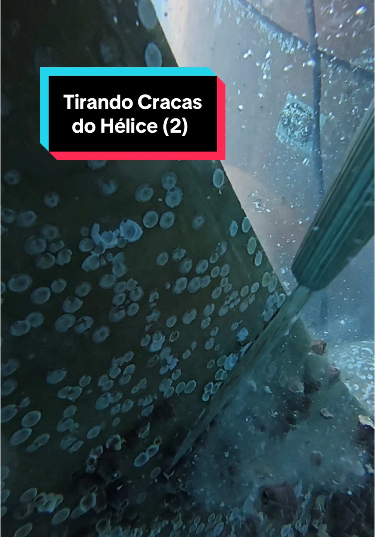 Tirando Cracas do Hélice (2)     #workhard #dive #ship #work #propeller #maritime #mergulho #buceo #trabalho #navio #sea 