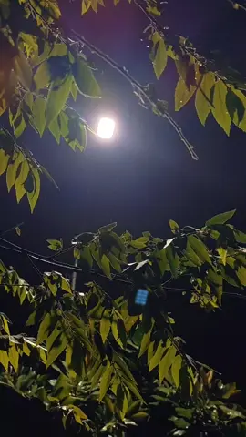 انظر للأسفل حتى تعرف كم أنت محظوظ الآن 