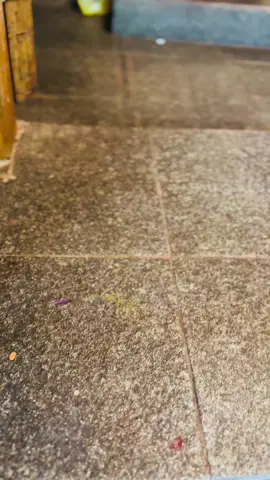 Idukattu maharani waiting our big day🔥🔱❤️‍🔥#omsakthi_parasakthi #omsakthi #ambal #ammanthunai #neelakabaliamma💙 #ammanthunai #idukattukaliammanthiruvilla2025 #idukattukaliamman #idukattukatturani #buntong #kaliamman #bathrakaliamman #masanakali #kaliamma #kaliammantunai #kaliammanthunai💫🙏🖤 #ipohidukattukaliammantemple🔱 #ambigaithunai #idukattukali #ammasyg💜 #ammasyg #idukattukaliammanthiruvizha 