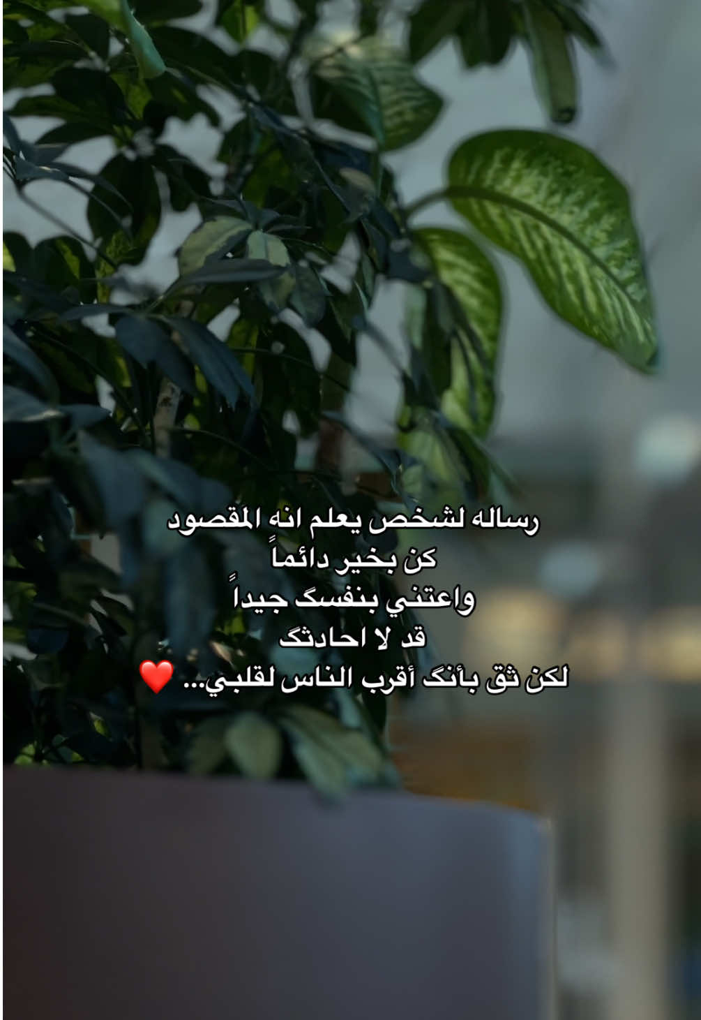 ‏رساله لشخص يعلم انه المقصود  ‏كن بخير دائماً  ‏واعتني بنفسگ جيداً ‏قد لا احادثگ ‏لكن ثق بأنگ أقرب الناس لقلبي... ❤️ الله يسعدكم كرما لا أمراً الاضافه على الاصفر رابط الاصفر في البايو #خواطر #اكسبلور #اقتباسات #عبارات #حب #ترند 