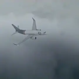 Mengenang Sriwijaya air SJ 182 pesawat Sriwijaya SJ 182 rute Jakarta-pontianak jatuh pada tanggal 9 Januari 2021 di perairan kepulauan seribu. Kecelakaan ini disebabkan oleh cuaca yg buruk dan tahapan perbaikan autothrottle atau thorttle otomatis belum mencapai bagian mekanikal.Sehingga kerusakan terjadi Rest in peace untuk para korban dan semoga keluarga korban diberi ketabahan atas insidennya pesawat Sriwijaya#sriwijayaairsj182#restinpeace#korbansriwijayaairsj182#sj182berduka