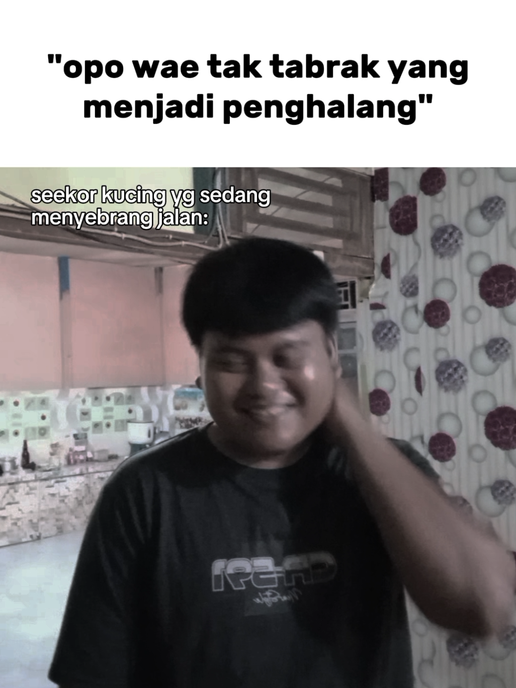 ehe😹 #beranda #meme #opowaetaktabrak #kucing #nyebrang #jalan #foryoupage #fyp 