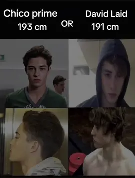 Who mogs #looksmaxing #franciscolachowski #chicolachowski #davidlaid 
