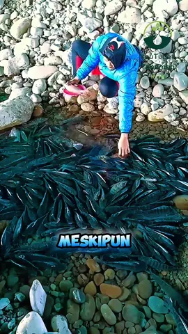 Padahal sungai kecil tapi penuh dengan ikan #fyp #trending #viral #reels #shorts #vod #fbpro #facebookpro #pemula #pertanian #agriculture #farming #perkebunan #kebun #gardening #garden #harvesting #berkebun #ikan #fish 