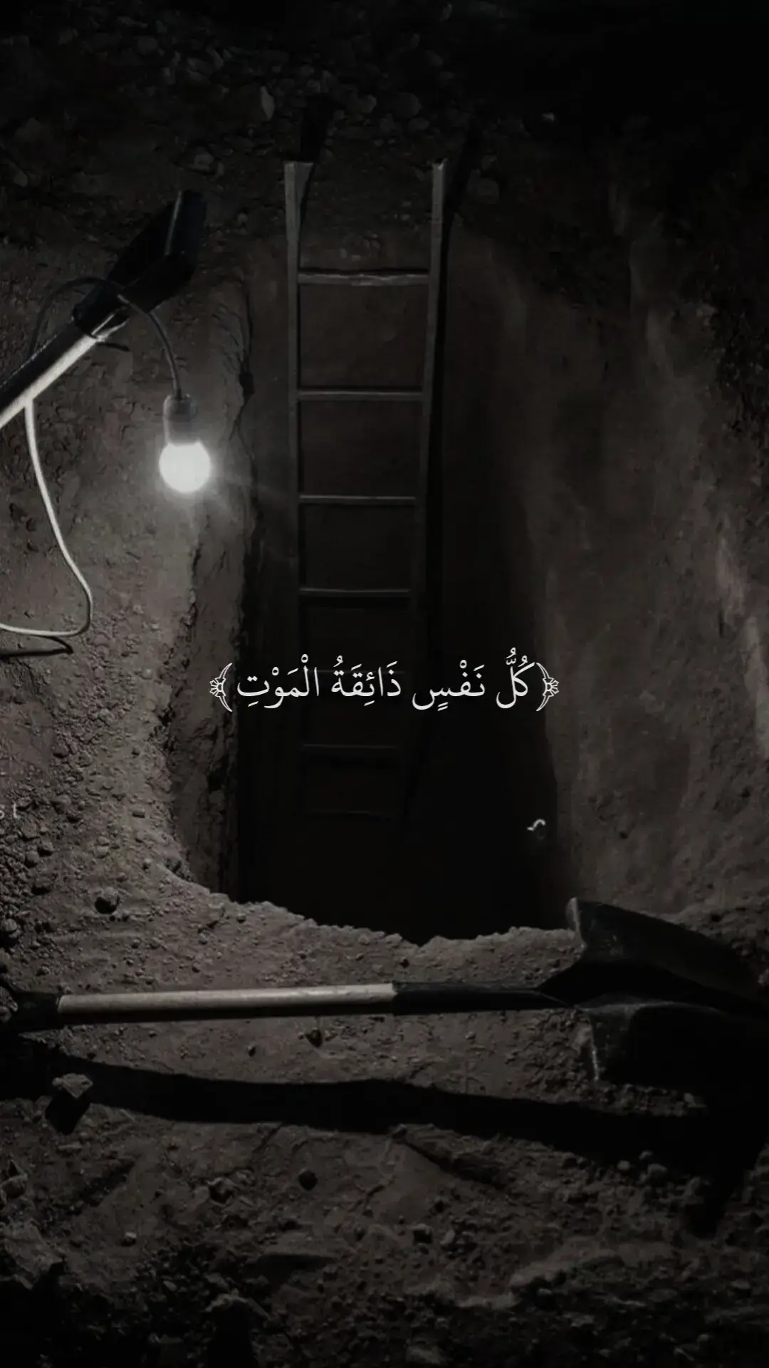 سورة آل عمران 🤍  #قران_كريم #اجر_لي_ولكم #perte 