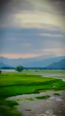 نه دحشدكرد اؤ نه باغي يم