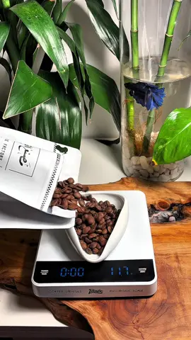 محصول اليوم من@محمصة مصنع القهوة 🤍
