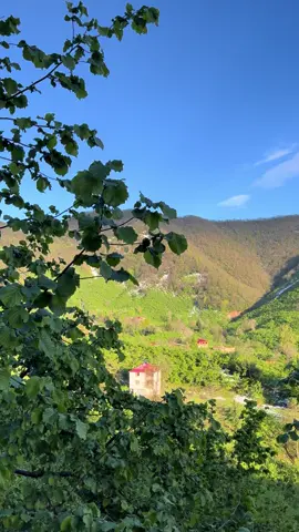 Anasinun nazlısi, yüreğumin yarisi 💚🫶🏻 #karadeniz #karadenizşarkıları #giresun #espiye #huzur #kesfet #kesfetbeniöneçıkart #keşfetedüş #tiktokviral #kesfetteyiz #fypシ゚ #ismailtürüt #nazlicanım