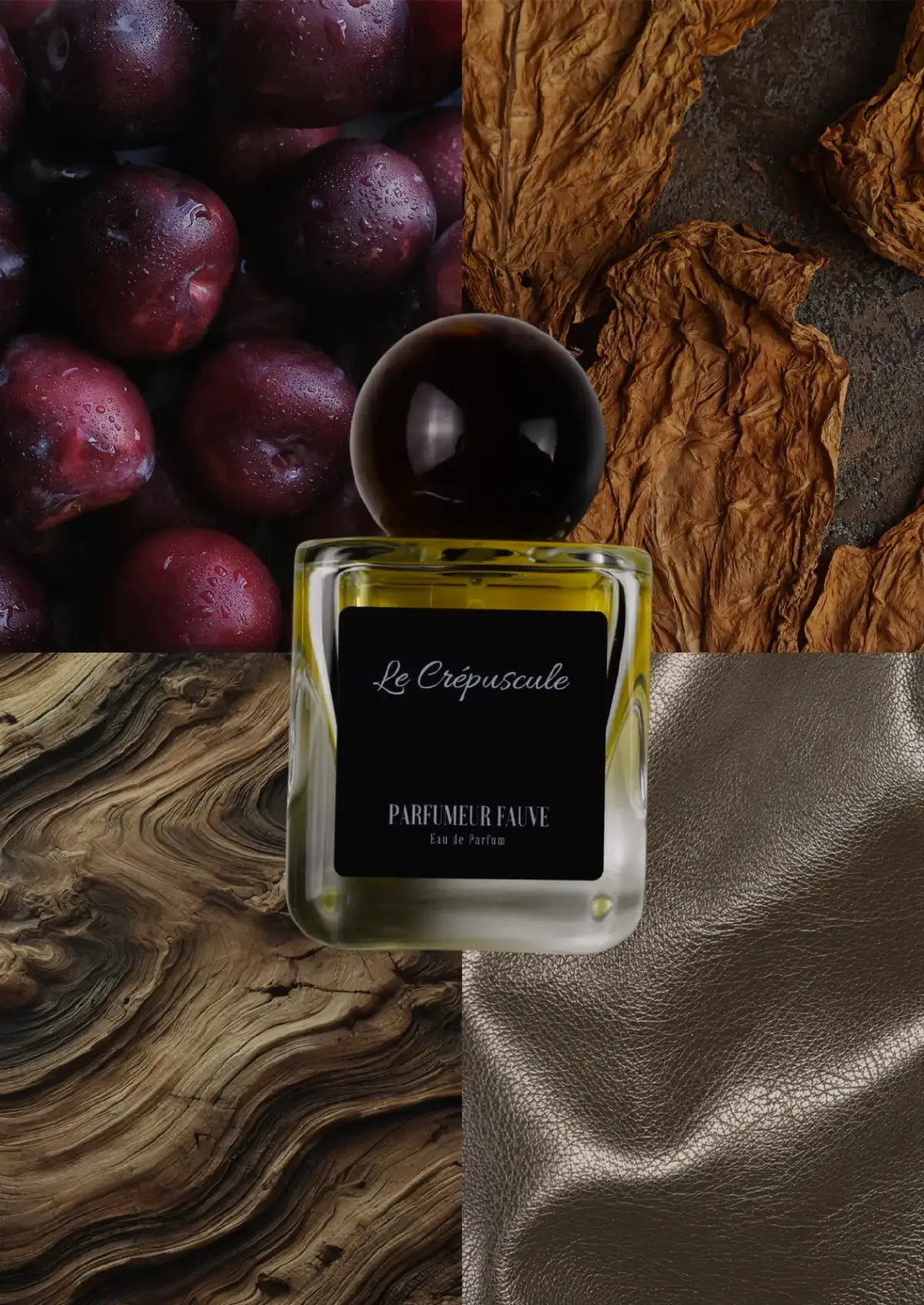 Le sillage entre clarté et obscurité. Nouvelle fragrance pour de nouvelles émotions. #parfumeurfauve #parfum #nicheperfume #nichefragrance #eaudeparfum #parfumdeniche 