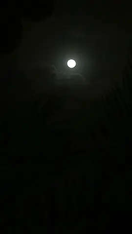 يجي_الليل_ويجيني_بدر العزي#اكسبلورexplore 