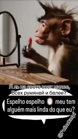 #рекомендации❤️❤️❤️ #fypシ゚viral🖤tiktok #recommendation #oбезьяны#monkey#PremiereRush 