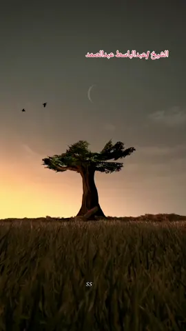 راحة نفسية للشيخ عبدالباسط عبدالصمد  #fyp #viral #foryou #islamic_video #duet #اكسبلور #قرآن 