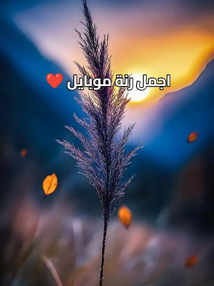 #foryoupag #رنات #نغمات_رنين_حزينة #موسيقى #fyp #foruyou #vira #ranat 