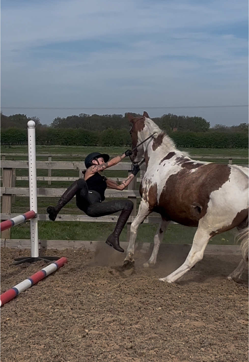 you aren’t ready for the full video..🙈🙈 @Phoebe Scholtens #horse #equine #equestrian #horsetok #horsesoftiktok #equestrianvibes #horsebackriding #horsegirl #fyp #foryou #abcxyz 