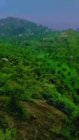 وصاب وصاب وينه وصاب مني اصيل ابو بكر