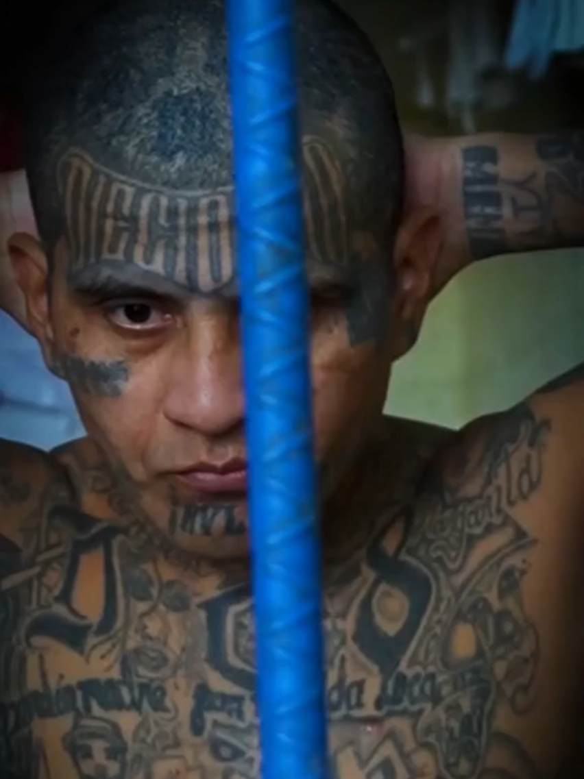 #CECOT #cecotelsalvador #elsalvador🇸🇻 #pandillaselsalvador #pandillasnuncamás #guerracontralaspandillas #nayibbukelepresidente #nayibbukele #nayib #paratiiiiiiiiiiiiiiiiiiiiiiiiiiiiiii 