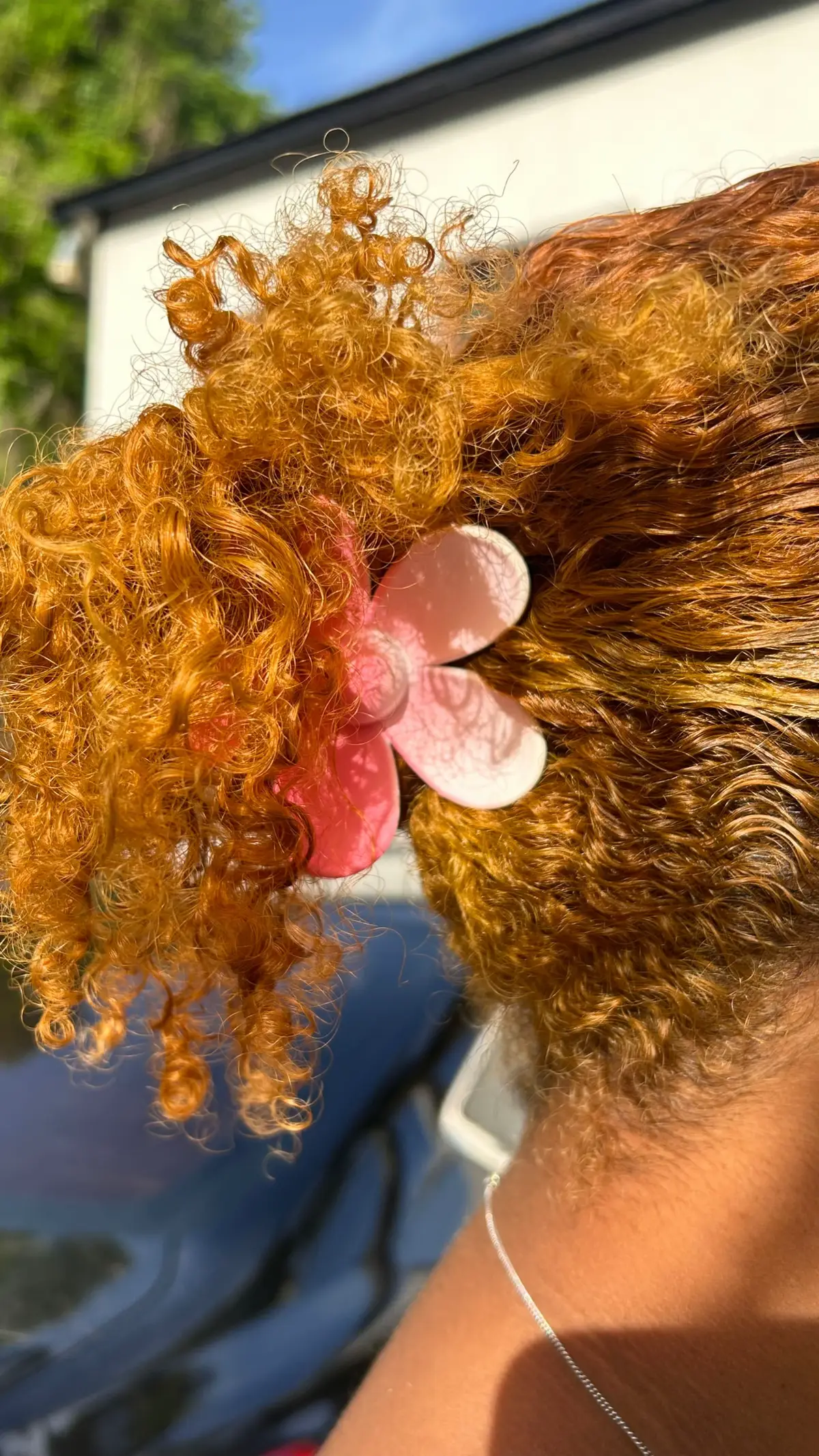 Spring and summer short curly hairstyle inspo pt2  #springhairstyles #summerhairstyles #curlyhairstyles #naturalhairtiktok #hairtiktok #curlyhair #naturalhair #haircareroutine #HairCareTips #colorhair #briiscurls 