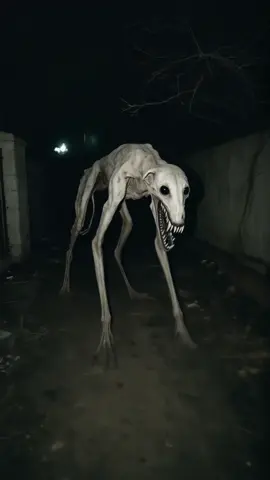 strange creatures in my neighborhood #horrortok #strange #creatures #neighborhood #ai #midjourney 