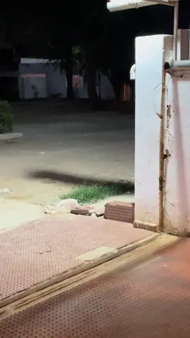 Minha família já está disponível 📥 a música mais esperada do momento com o título sample girl, 💃🏽🔥que conta com a participação do Dj Maike corram no YouTube família, clica agora no link a baixo 🔥🔥🔥🔥 https://youtu.be/sIJhby5TaWY?si=_D2_nUyHKfonFZr-@Ronaldo Sambala @dizumba_grande00 @