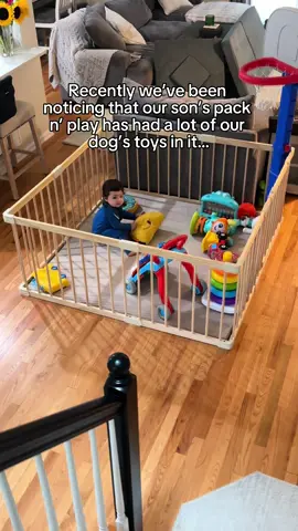 The greatest toy story…🥹🧸🪁🐾💛