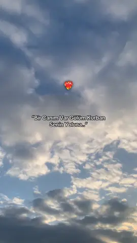 “Bir Canım Var Gülüm Kurban Senin Yoluna..”❤️‍🔥#yhaahulya_#story#fypシ#kesfet#kesfetteyiz#kesfetbeniöneçıkart#storylikvideolar📌#storylikpaylaşımlar 