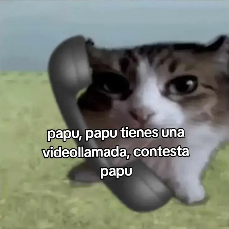 #miparatiiiiiiiiiiiiiiiiiiiiiiii #foryoupage #fybシviral #humor @TikTok 