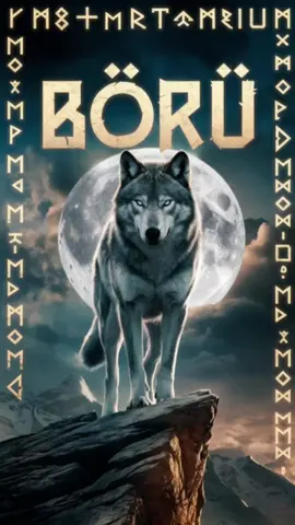 BÖRÜ: Türk’ün Uyandırdığı Efsane! 🐺⚔️🌕 Bir uluma… Bin yıllık destanı hatırlattı! --- O bir kurt değil… O, Türk milletinin kalbinde yanan ateştir! Börü, binlerce yıl önce dağlarda yankılanan bir ulumayla başladı. O ses; korkusuzluğun, özgürlüğün ve ruhun sembolüdür. Bu kısa videoda sadece bir efsaneyi değil, bir milletin kaderini hissedeceksin! Her Türk’ün içinde bir Börü uyur... Ve zamanı geldiğinde, o Börü uyanır! Abone ol – çünkü bu sadece bir video değil, bir çağrıdır! #Börü #TürkDestanları #KurtEfsanesi #MysticEchoes #TarihinSesi #TarihinSesi #MysticEchoes #kesfetteyiz #Shorts #fyp #tiktok #gokturk 