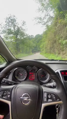 💚🌿🌲#trabzon #keşfet #yol #manzara #karadenizşarkıları #karadenizvideolari #oftrabzon 