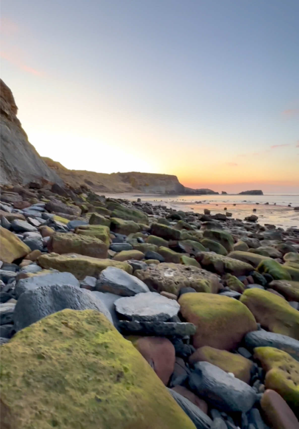 Exposing a perfect Jurassic Belemnite (Squid-like creature) which was in a large loose shale slab hidden within lots of beach pebbles 🦑🦑 This is the ‘Belemnite Guard’, which was the tough inner part of the belemnite 🏝 The soft tissue rarely preserved properly, however many great examples have been found in other parts of the world 🌎 Thank you in advance for supporting our page! 🐊 #natural #nature #fossil #fossils #ancient #animals #art #ammonite #ammonites #dinosaur #scientist  #minerals #paleontology #whitby #geologist #dorset #geology #charmouth #jurassic #yorkshire #fyp