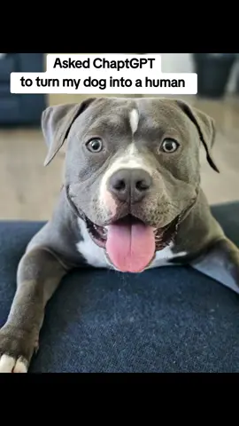 It fits✔️ #chatgpt #pitbull #puppy 