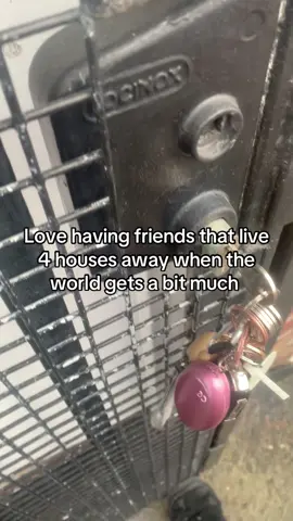 Hunger games, a chippy tea, colouring in and friends what more do you need 🥰        #colouring #fyp #colourtok #coloring #hungergames #balladofsongbirdsandsnakes #foru #foryou 