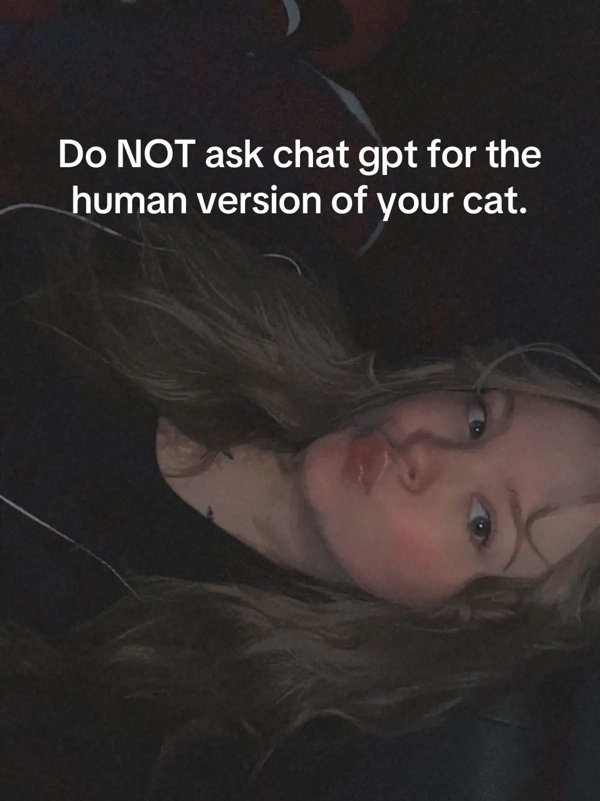 #cat #humanversion